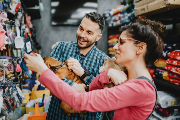 12 ações para aumentar as vendas no seu pet shop.
