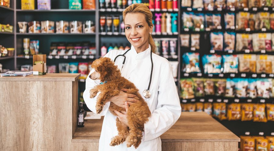 Gestão de Pet Shop: o uso do ERP vhsys para gerir melhor e lucrar mais